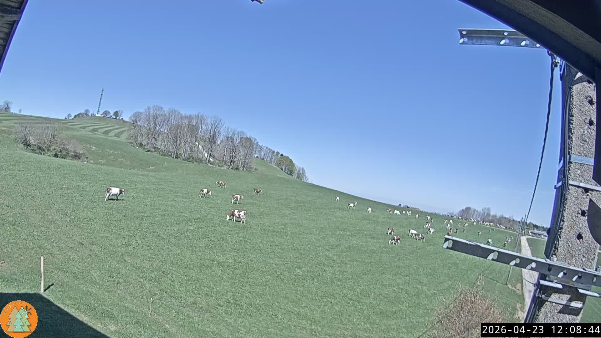 La Chaux: Grange Nicod: Arc-sous-Cicon