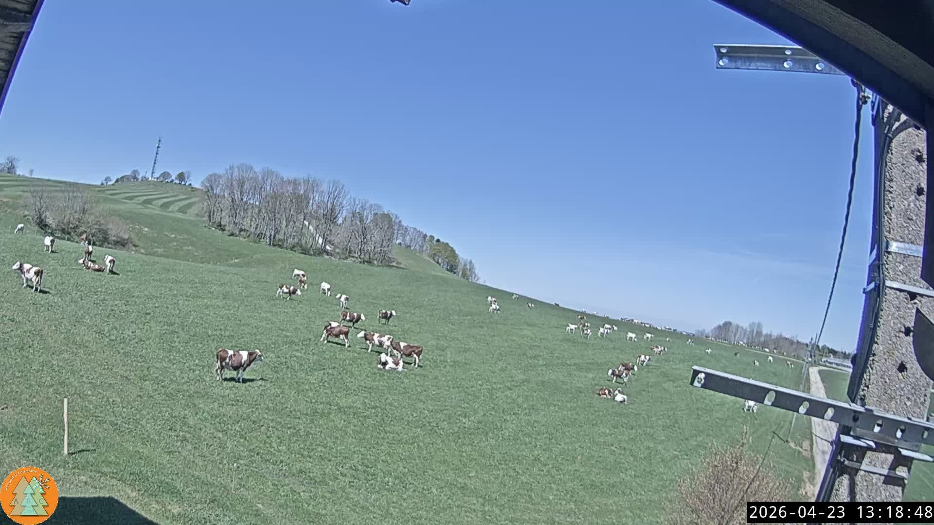 La Chaux: Grange Nicod: Arc-sous-Cicon