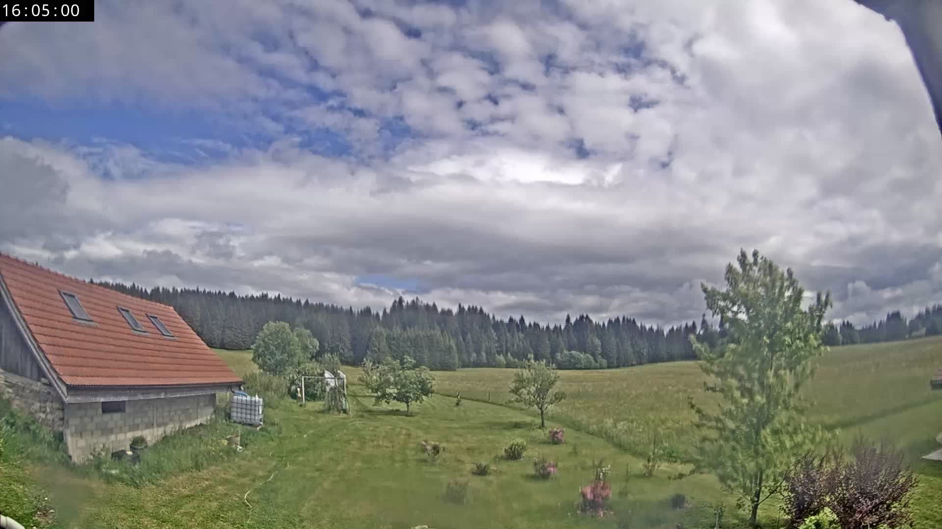 Les Fourgs: Haute Joux