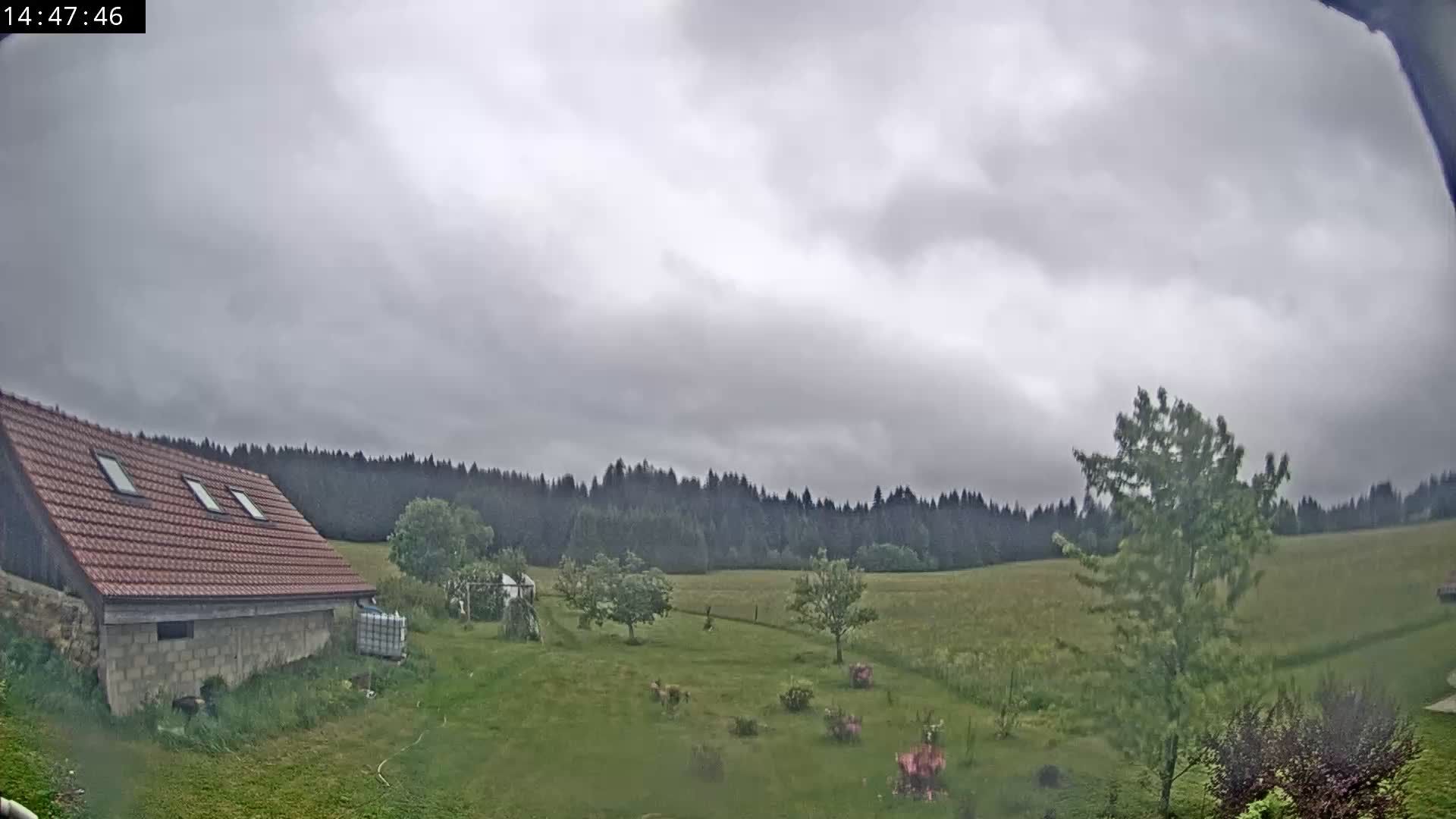 Les Fourgs: Haute Joux