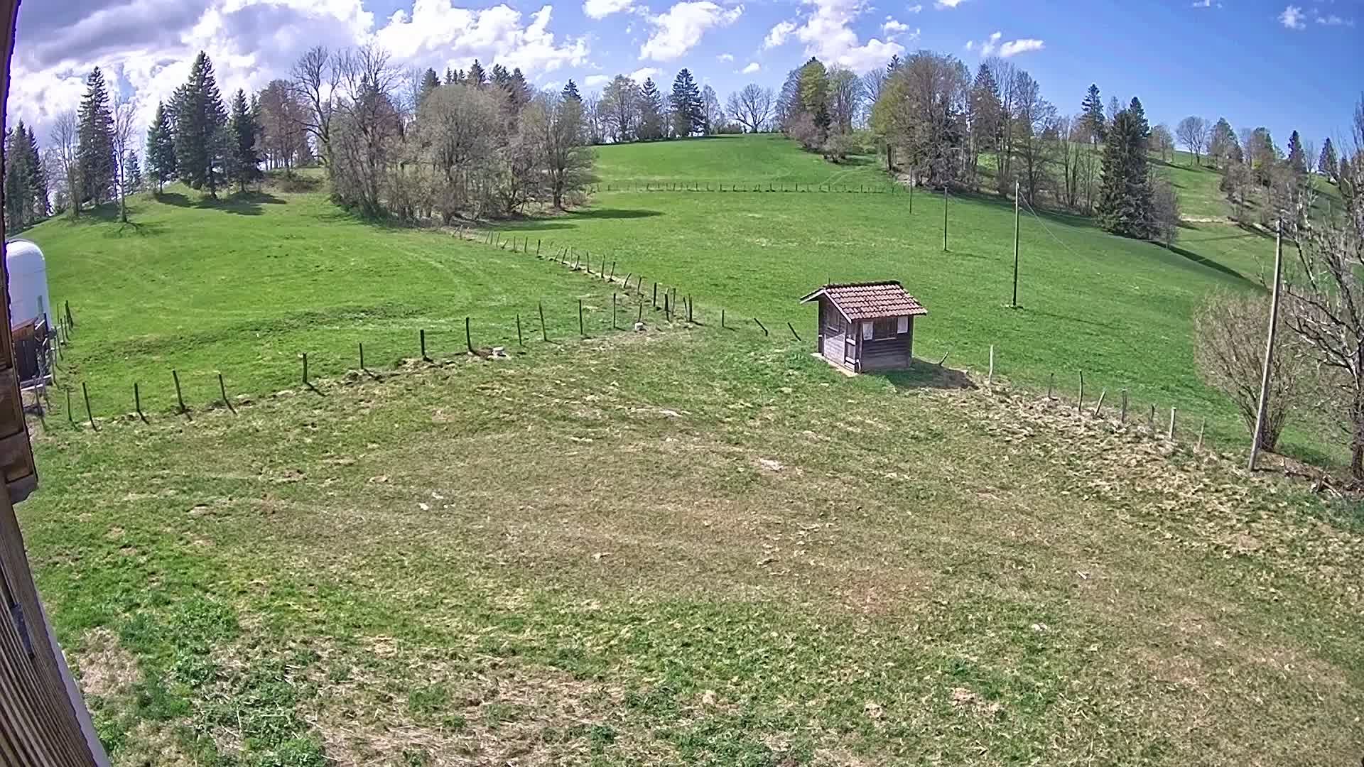 Hauterive-la-Fresse: La Perdrix: Le Haut Saugeais Blanc