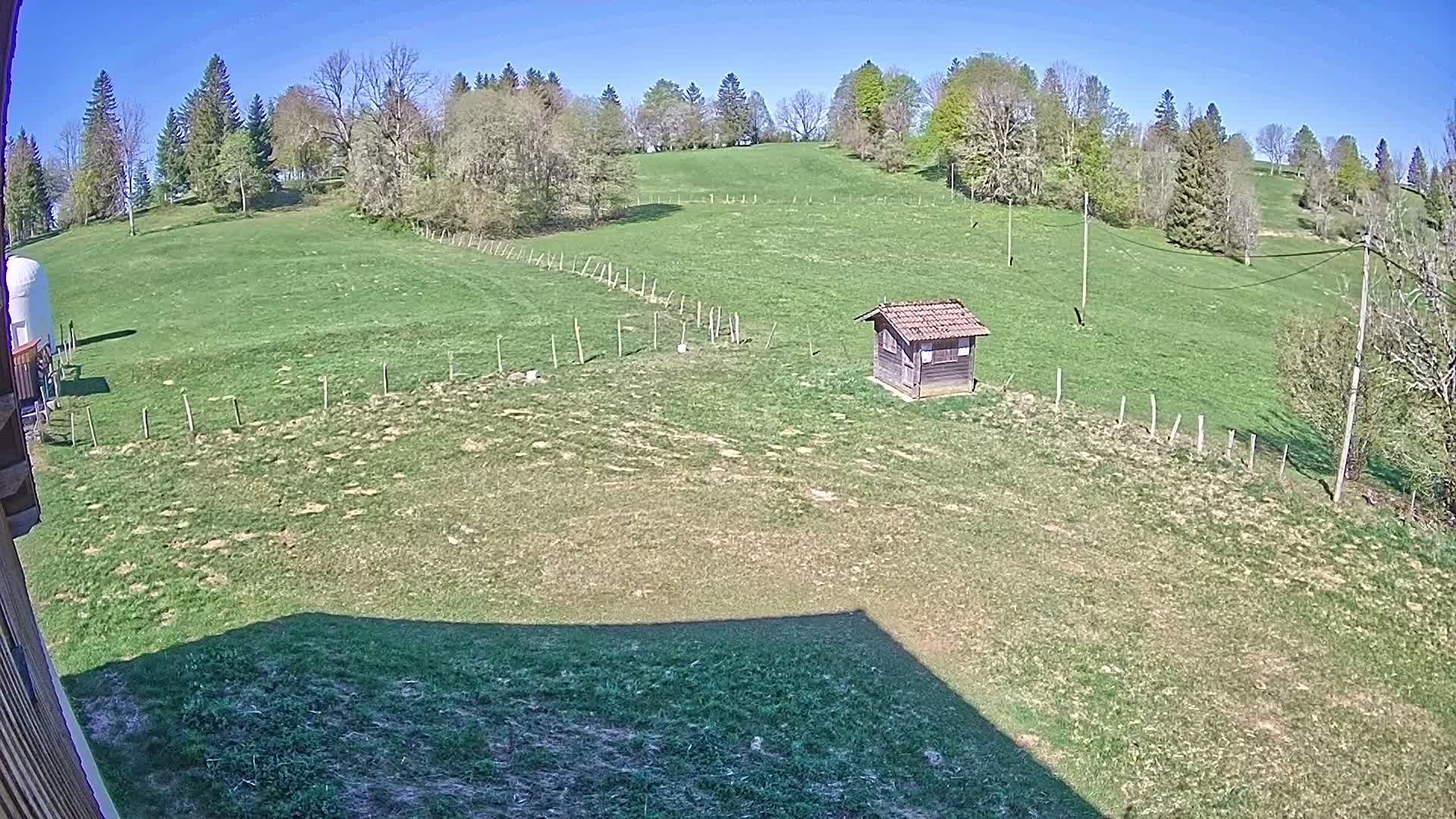 Hauterive-la-Fresse: La Perdrix: Le Haut Saugeais Blanc
