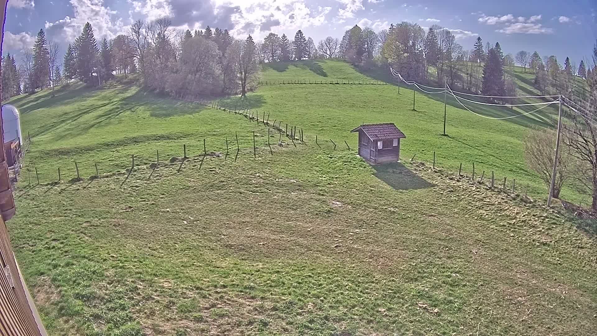 Hauterive-la-Fresse: La Perdrix: Le Haut Saugeais Blanc