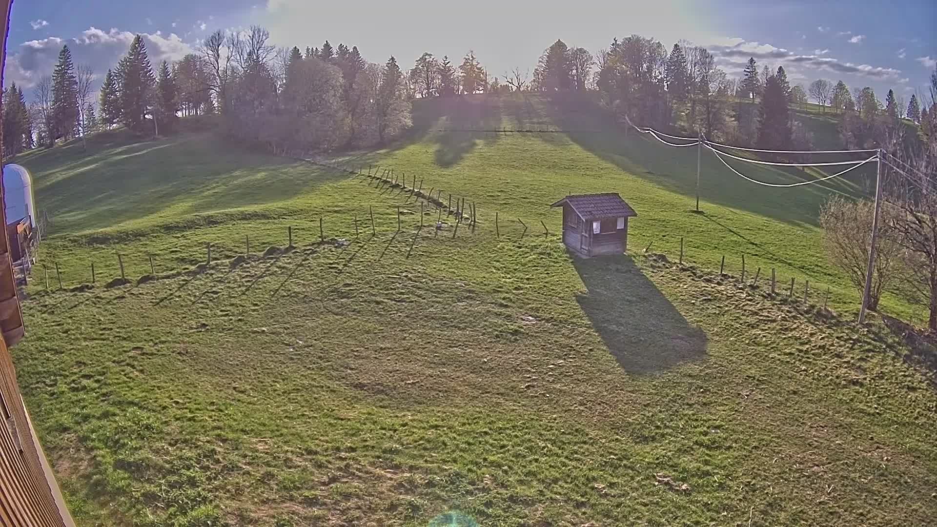 Hauterive-la-Fresse: La Perdrix: Le Haut Saugeais Blanc