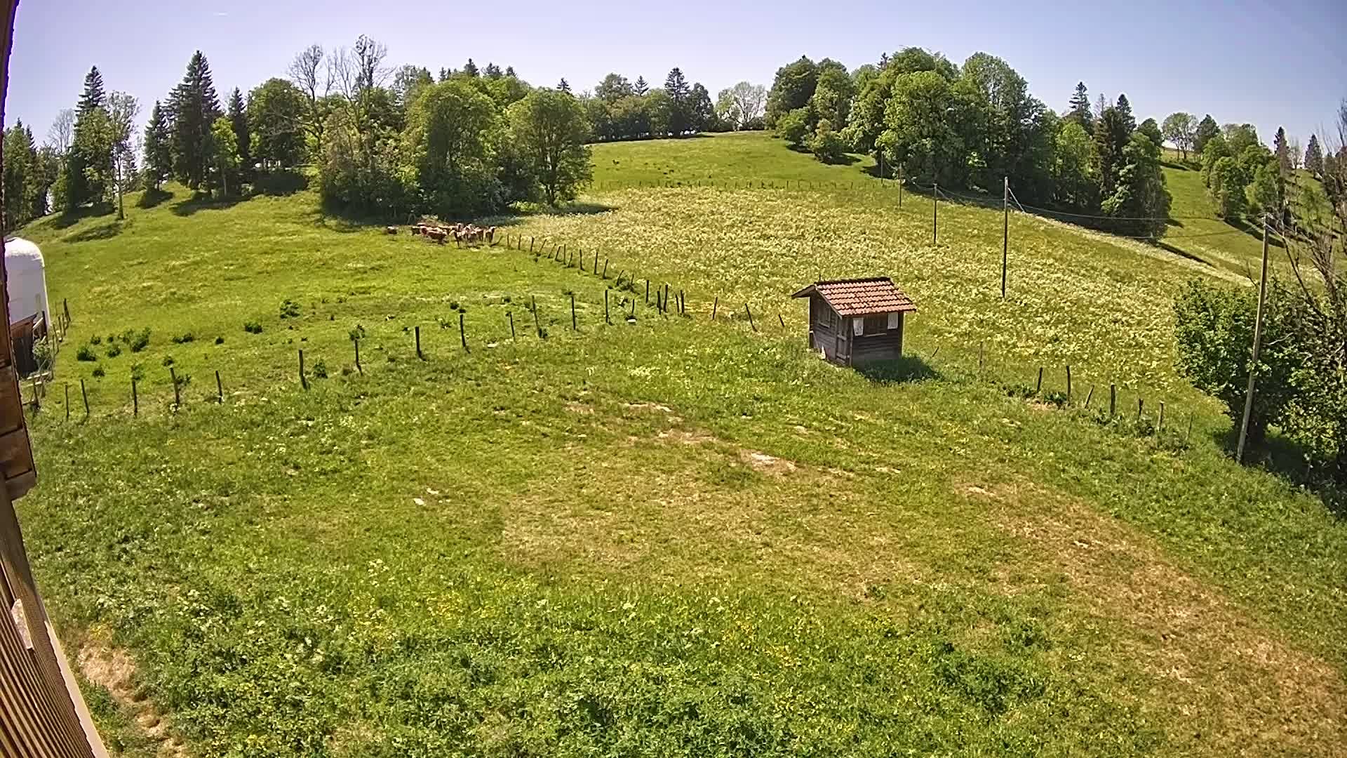 Hauterive-la-Fresse: La Perdrix: Le Haut Saugeais Blanc