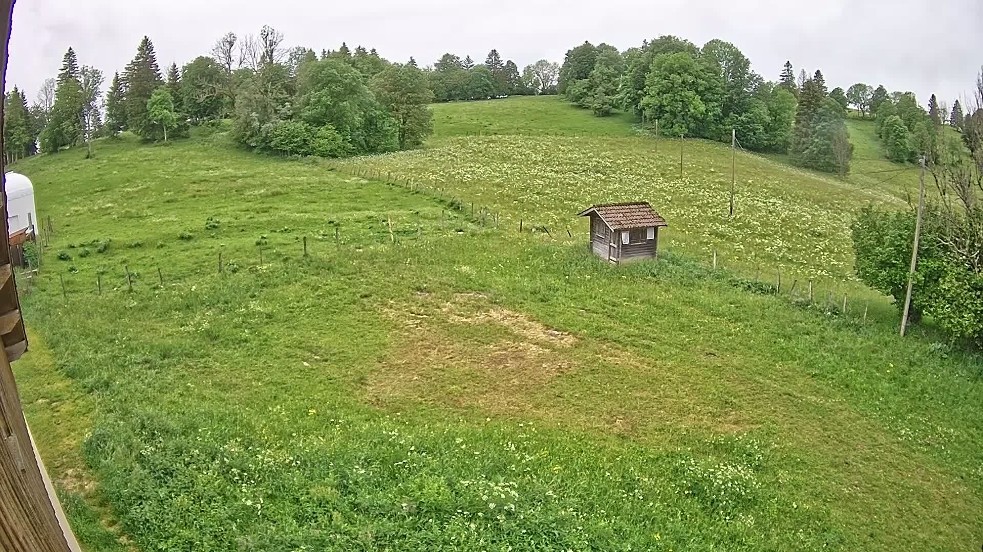 Hauterive-la-Fresse: La Perdrix: Le Haut Saugeais Blanc