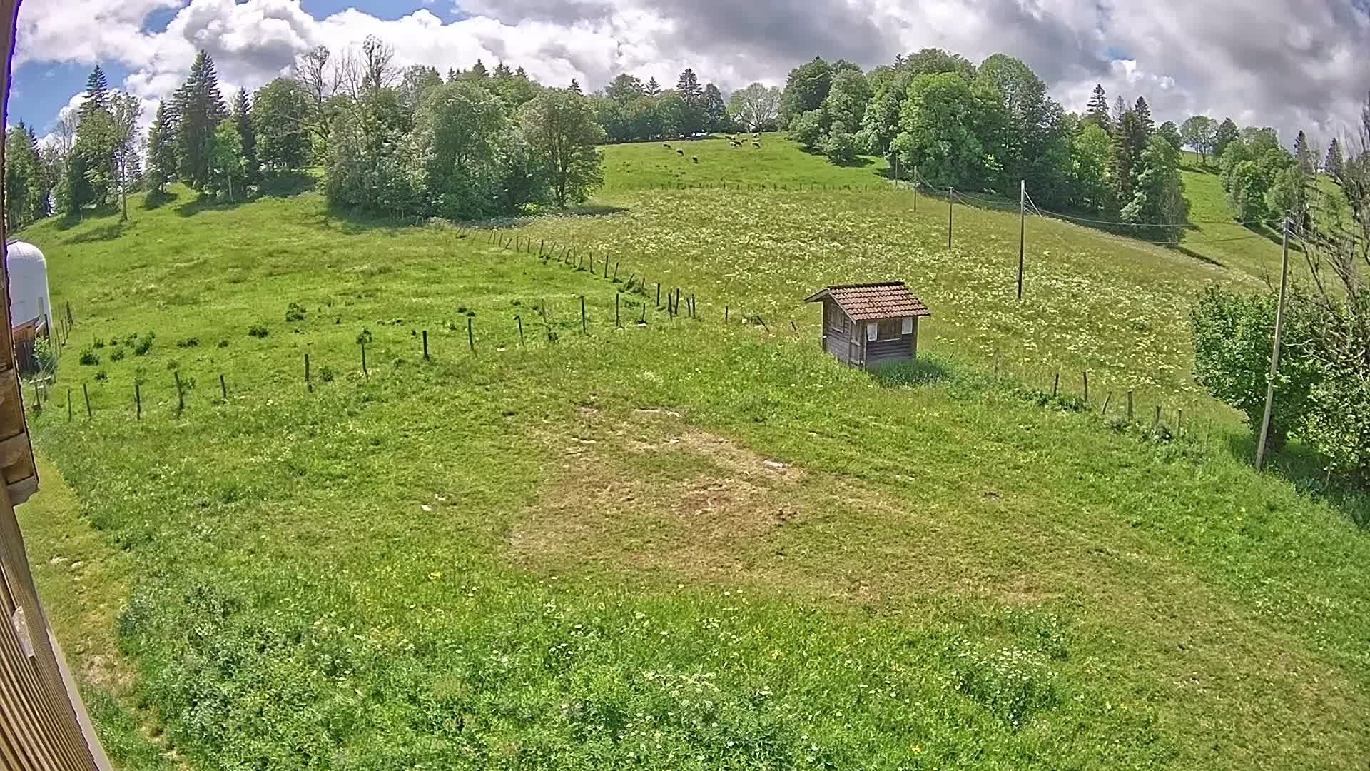 Hauterive-la-Fresse: La Perdrix: Le Haut Saugeais Blanc