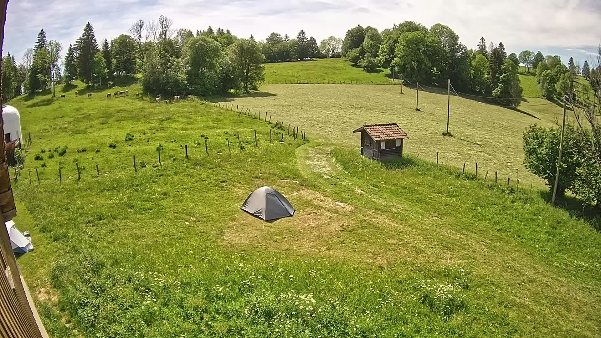 Hauterive-la-Fresse: La Perdrix: Le Haut Saugeais Blanc