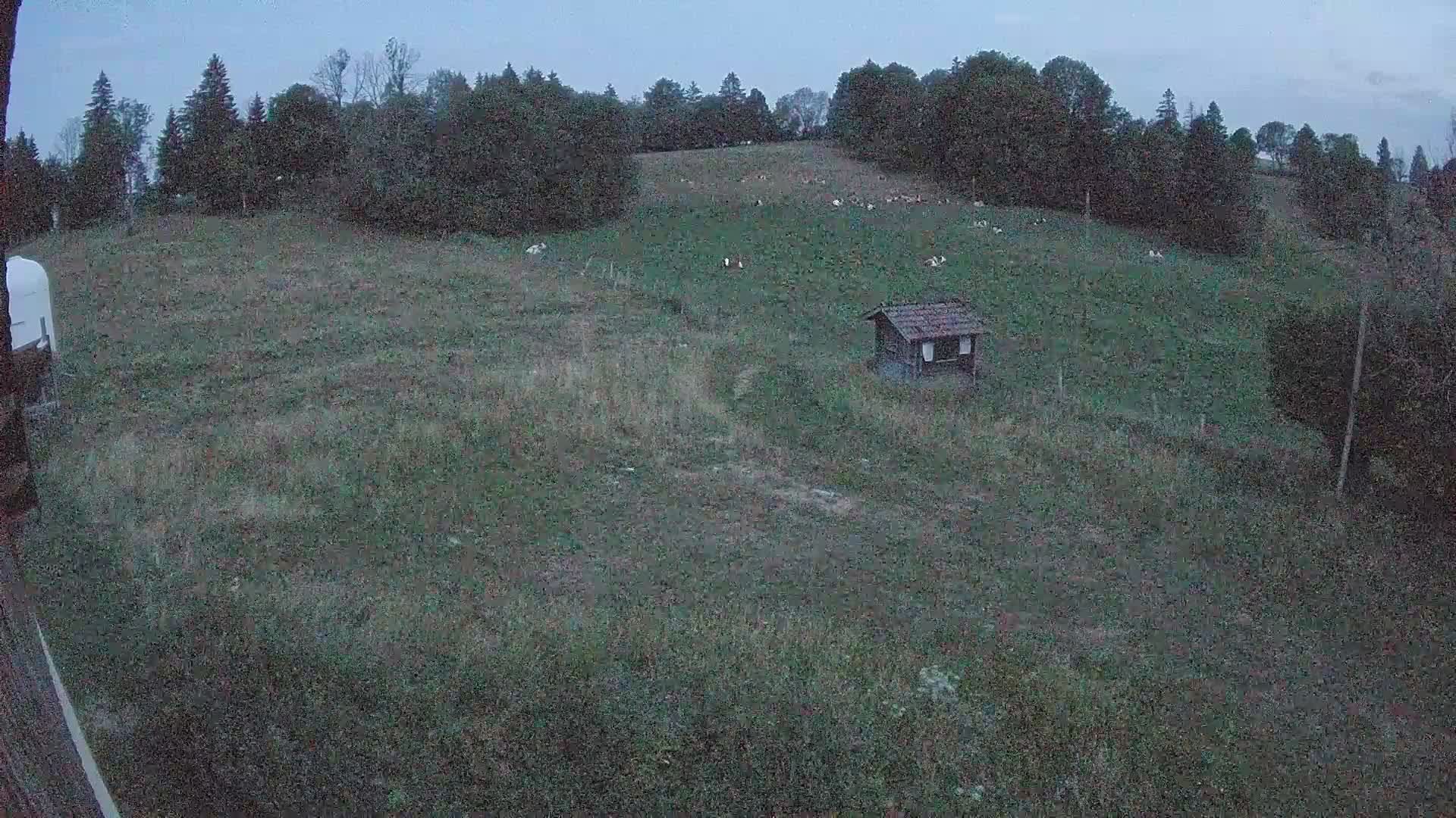 Hauterive-la-Fresse: La Perdrix: Le Haut Saugeais Blanc