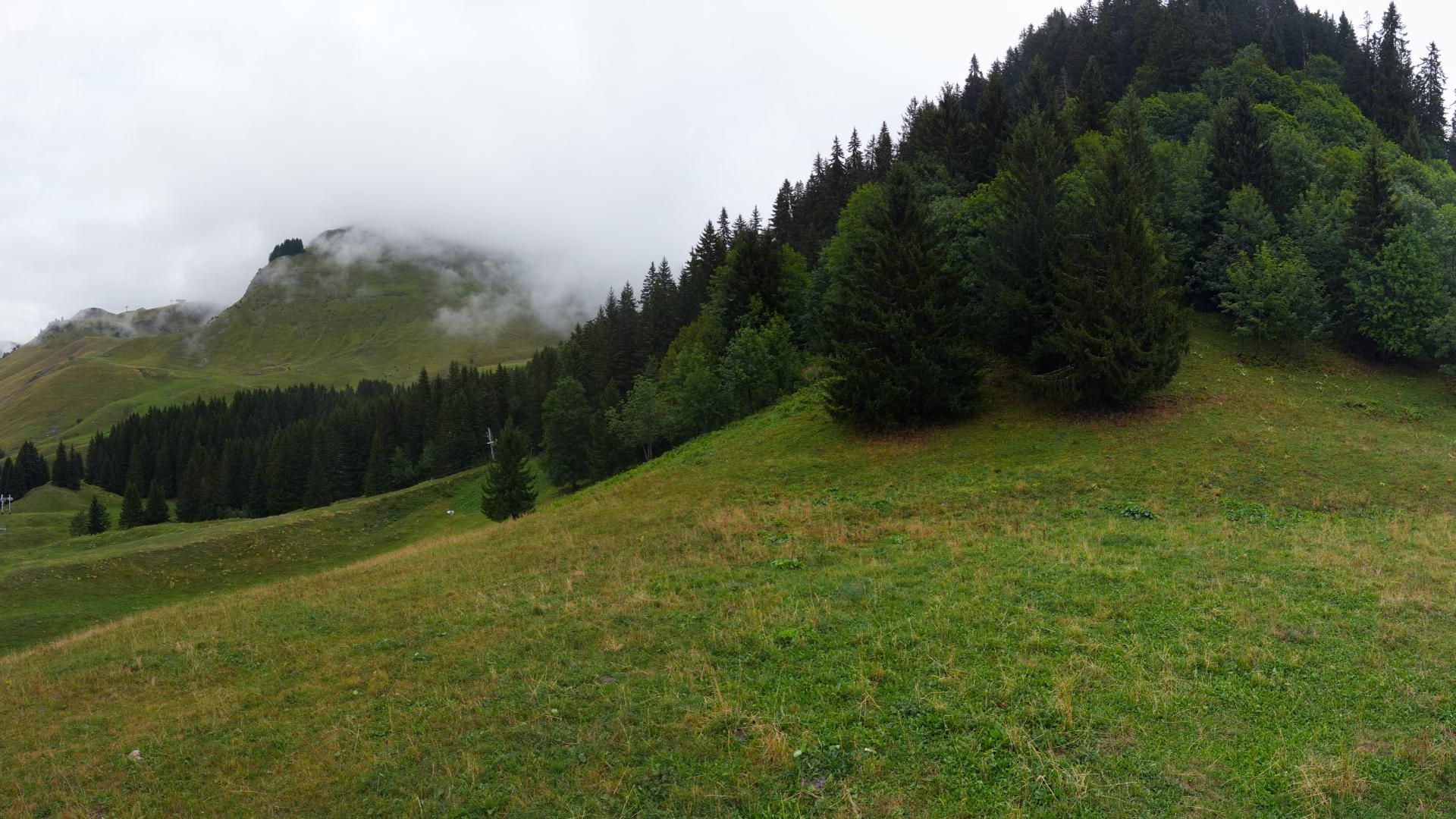 Le Grand-Bornand