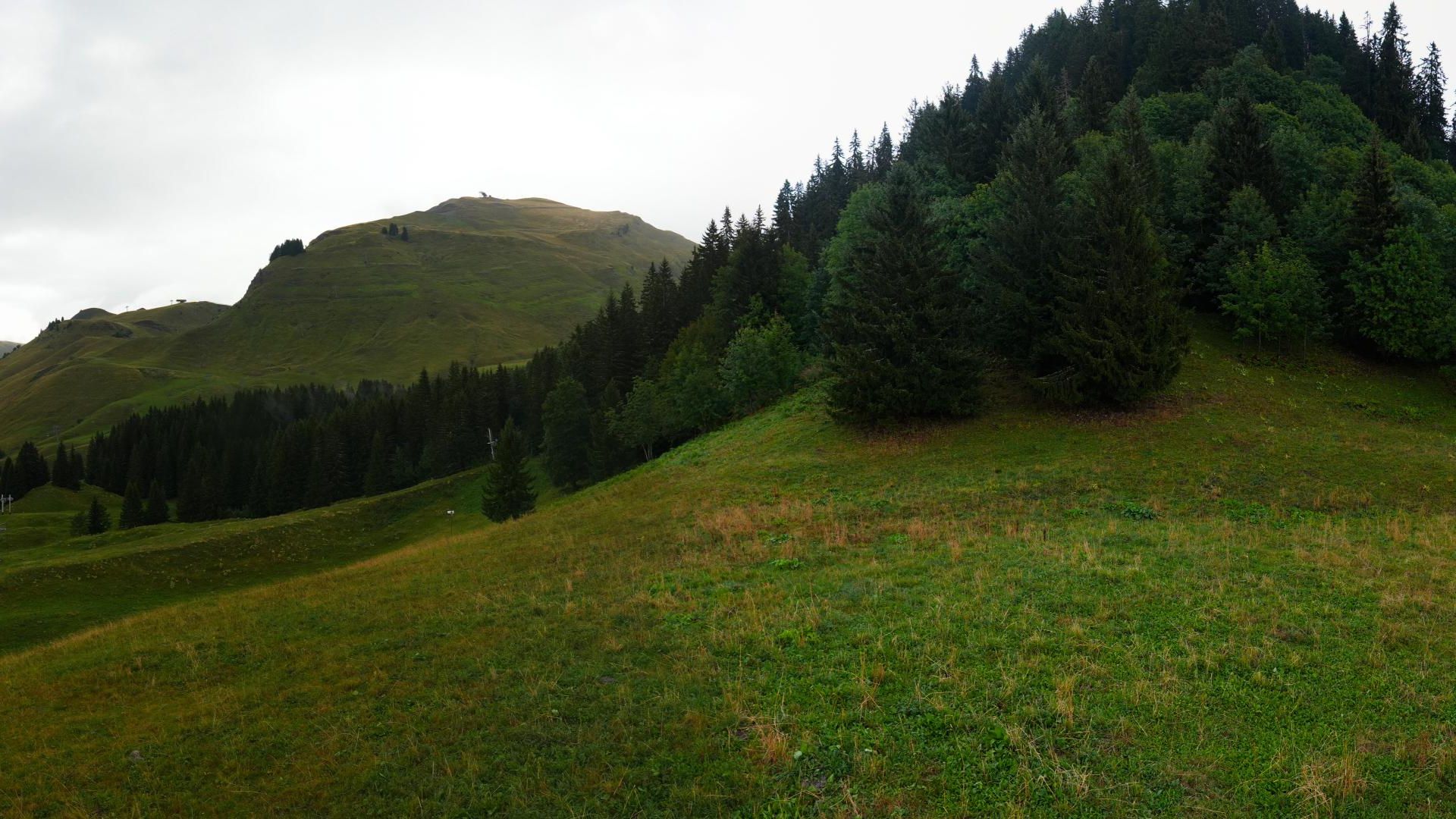 Le Grand-Bornand