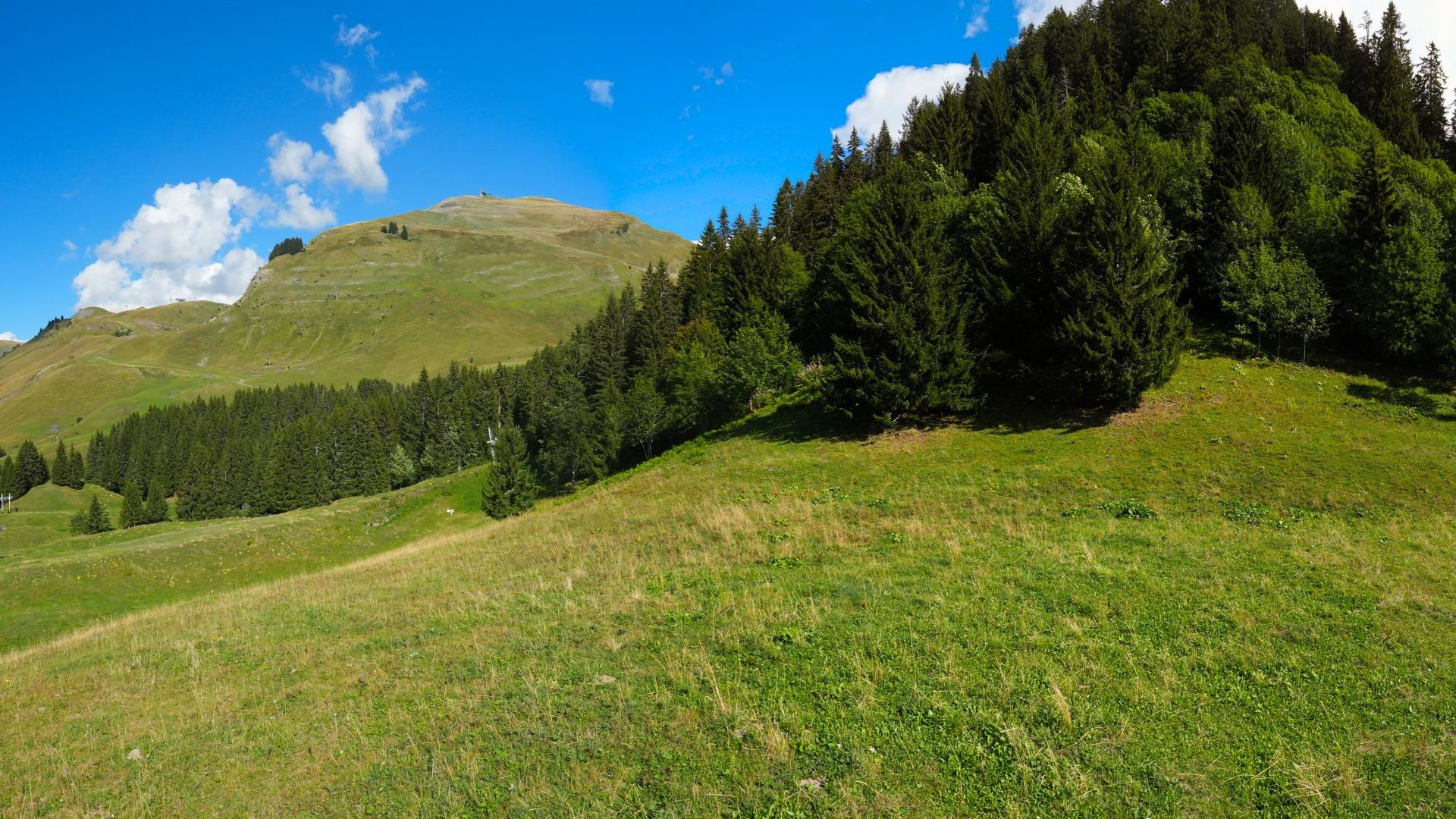 Le Grand-Bornand