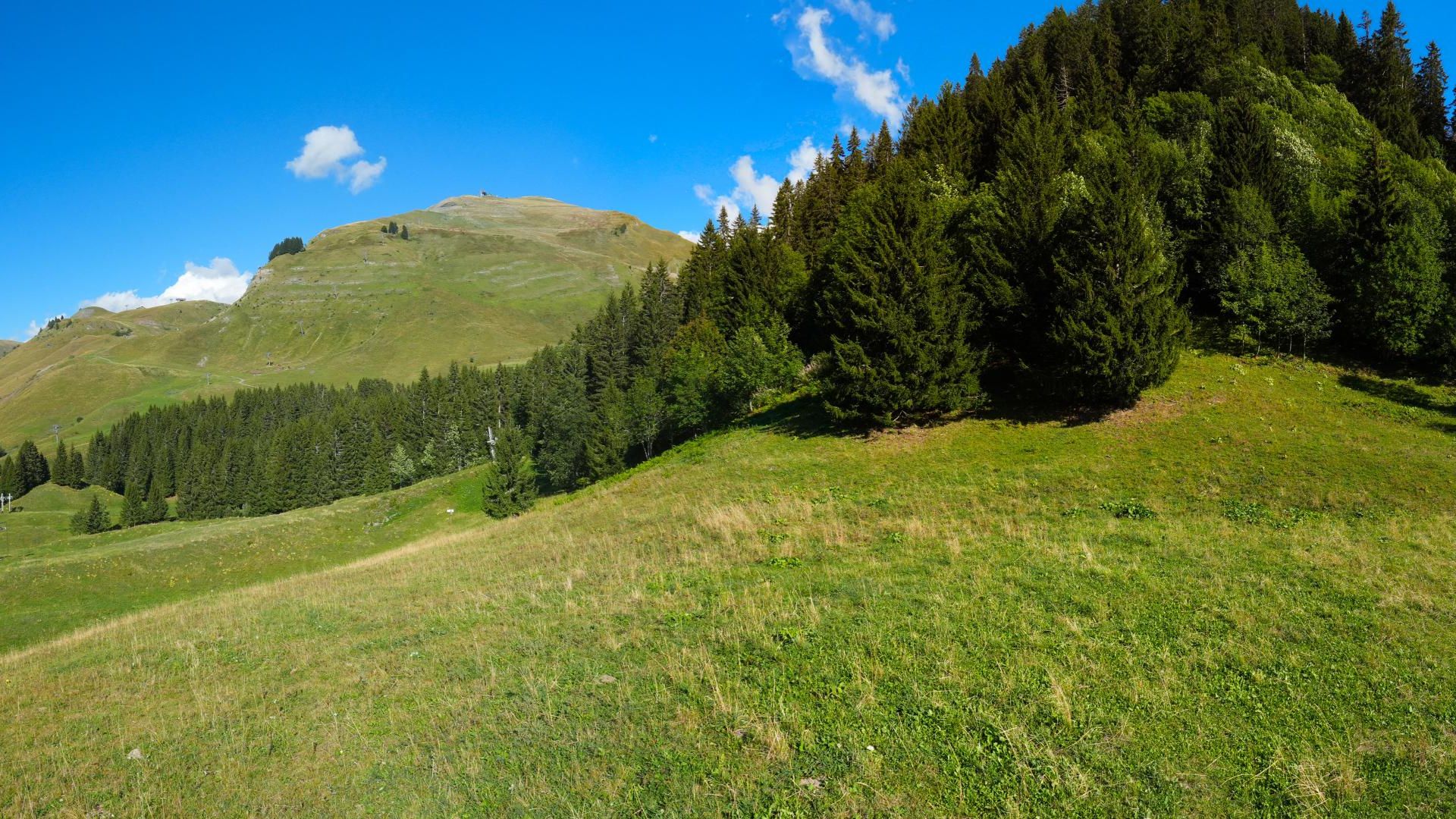 Le Grand-Bornand