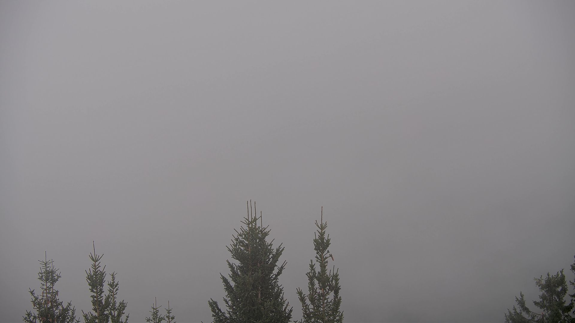 Thônes › Sud-est: Col des Aravis