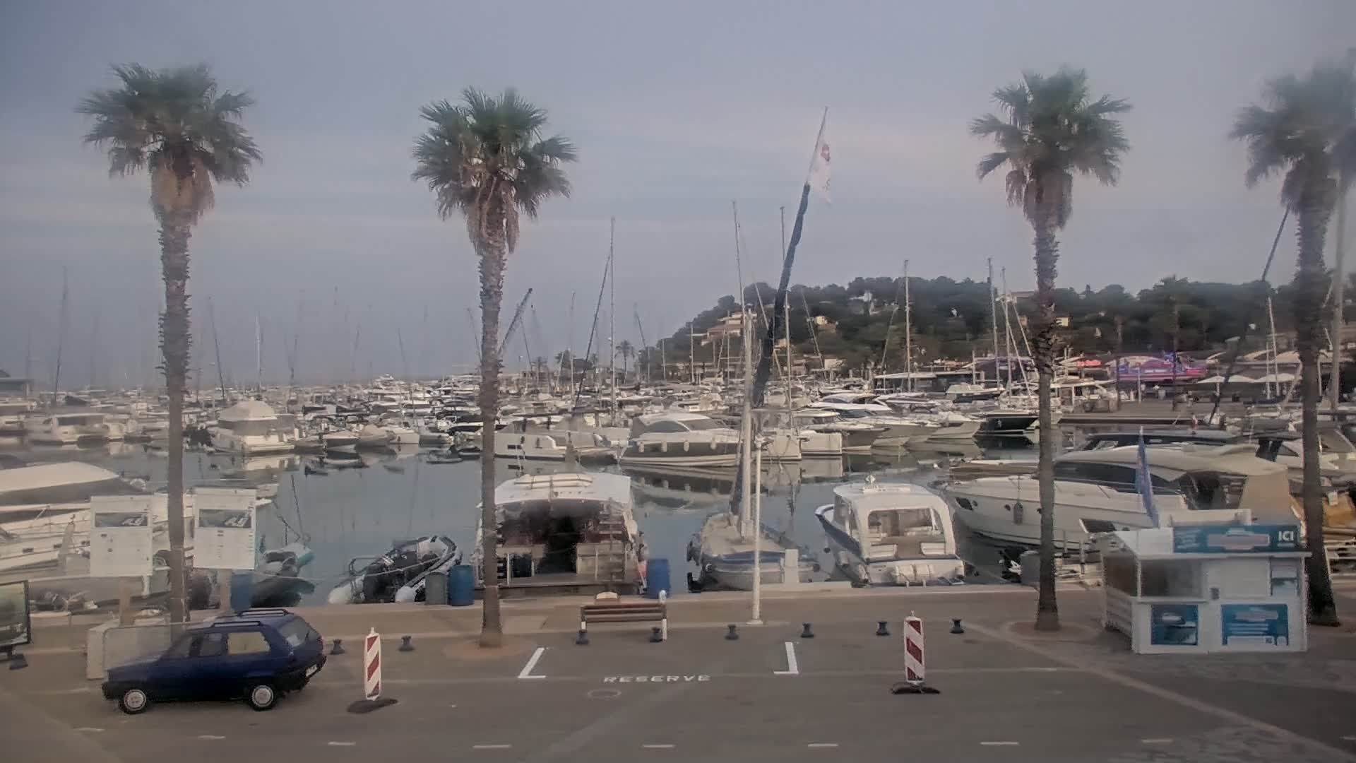 Cavalaire-sur-Mer: Live