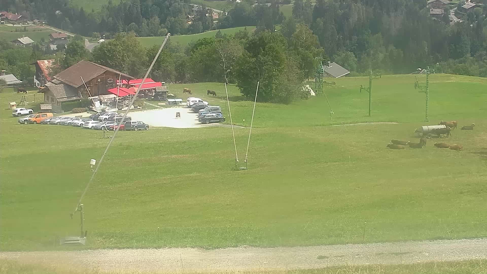 Cordon: Arrivée Piste du Darbelin