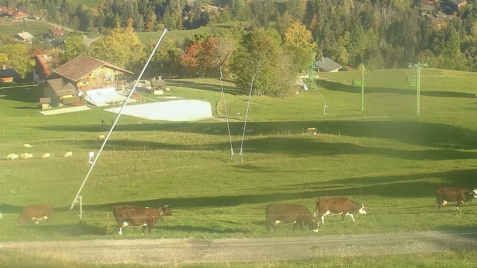 Cordon: Arrivée Piste du Darbelin