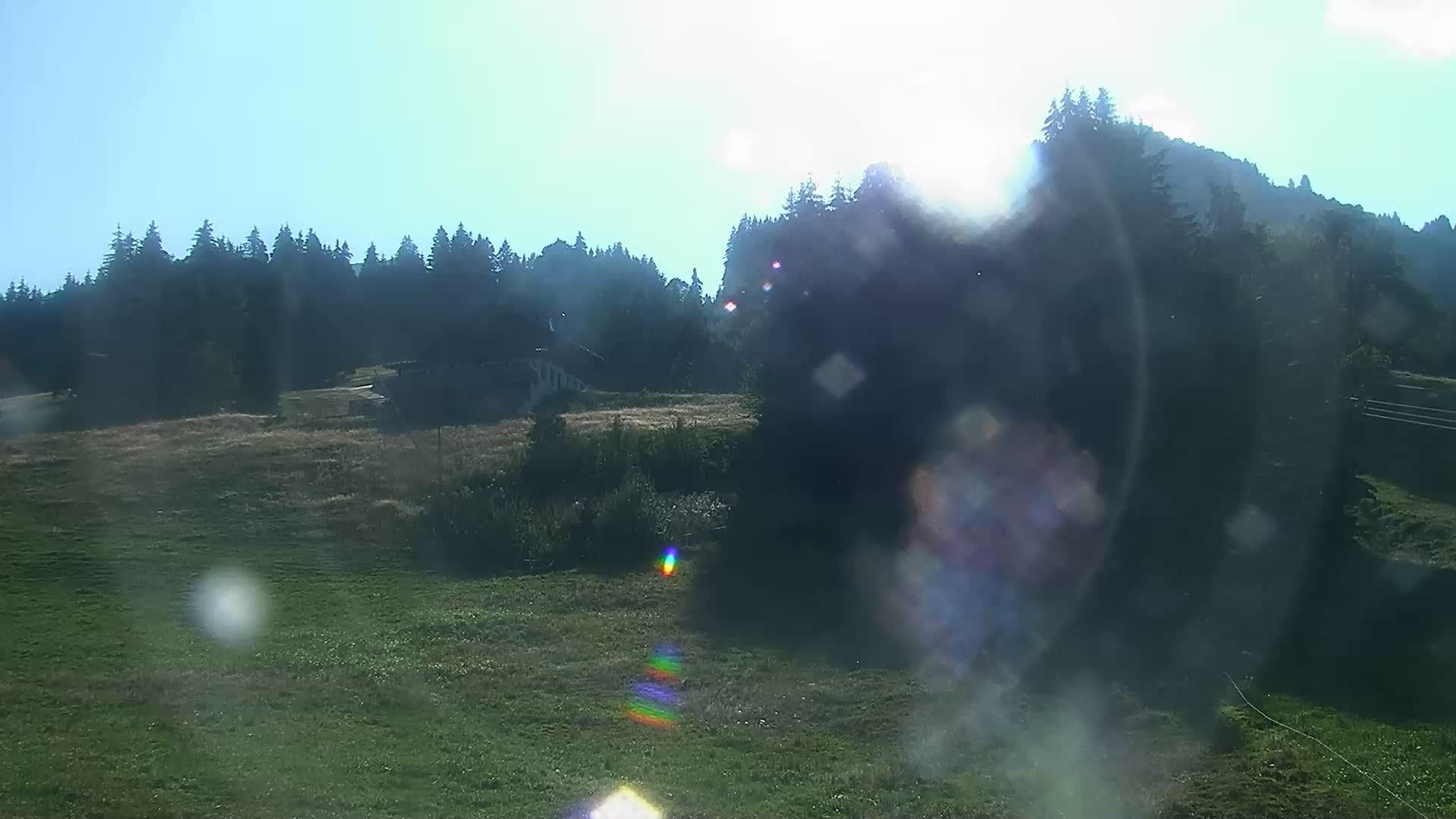 Cordon: Arrivée piste des Converses