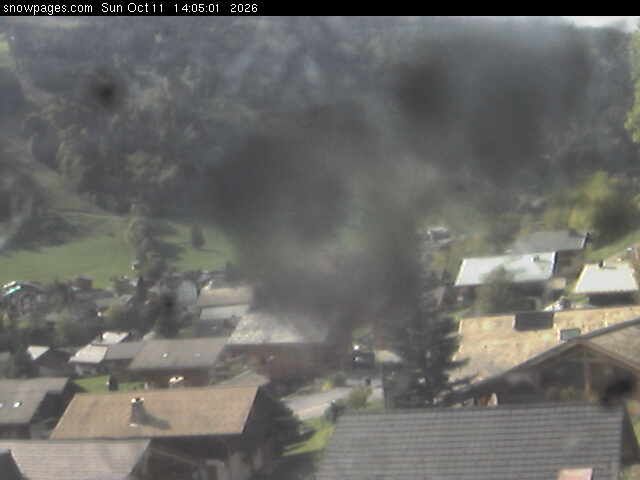 Morzine: Pleney Webcam