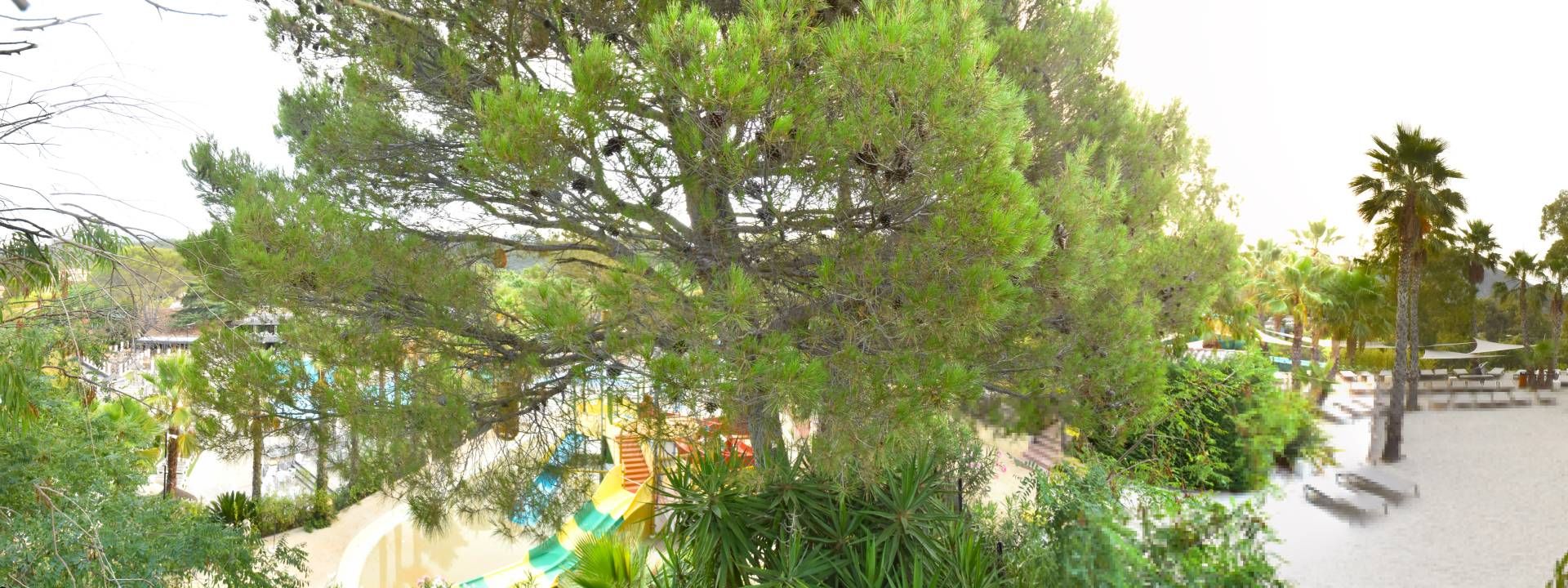 Saint-Raphaël: Esterel Caravaning