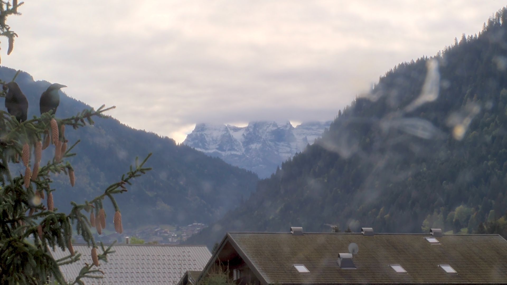 Châtel › Sud-est: Dents du Midi