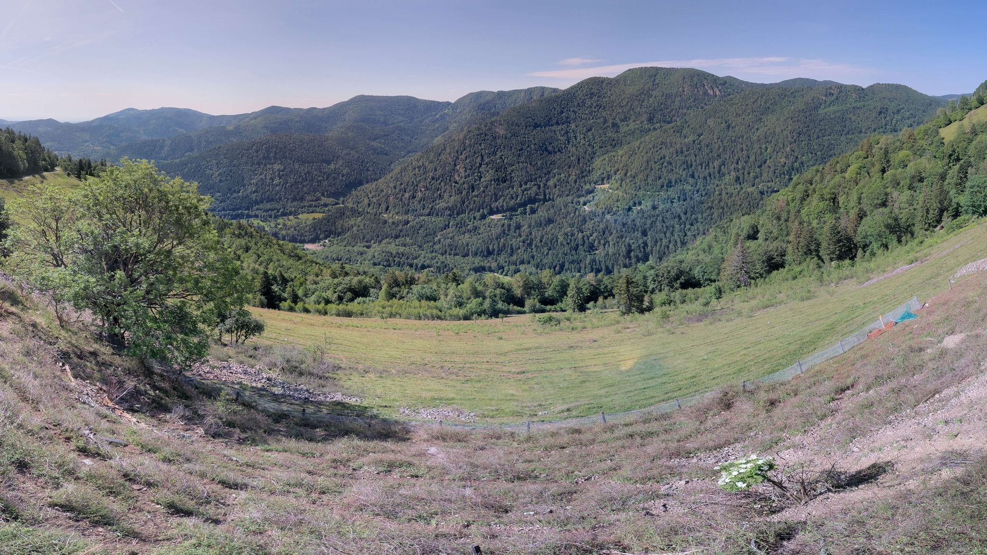Urbès › Sud-est: Ferme-Auberge Gustiberg Urbès - Col de Bussang - Chambres en demi pension