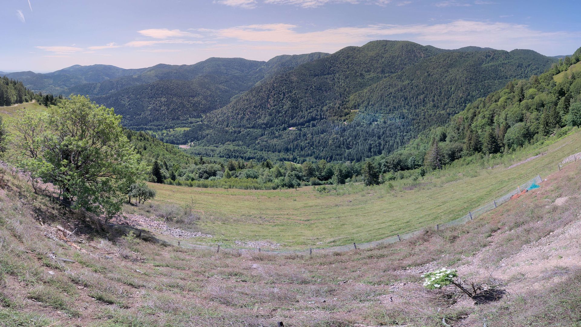 Urbès › Sud-est: Ferme-Auberge Gustiberg Urbès - Col de Bussang - Chambres en demi pension