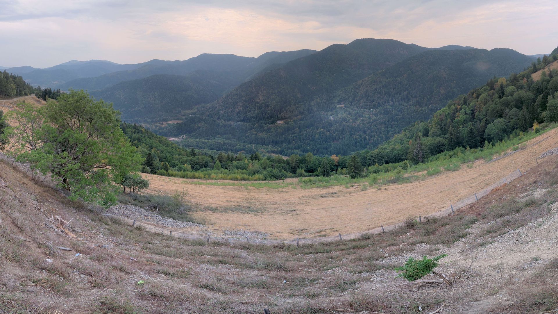 Urbès › Sud-est: Ferme-Auberge Gustiberg Urbès - Col de Bussang - Chambres en demi pension