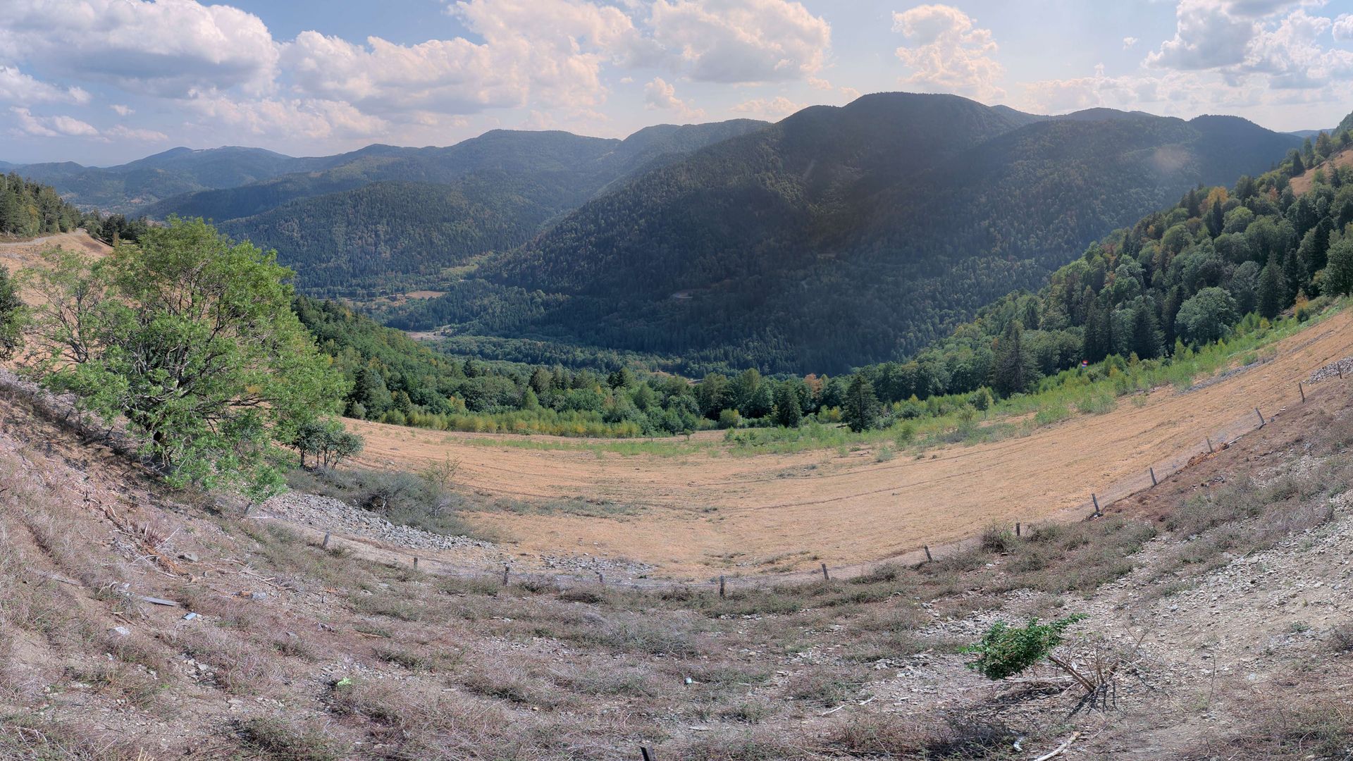 Urbès › Sud-est: Ferme-Auberge Gustiberg Urbès - Col de Bussang - Chambres en demi pension