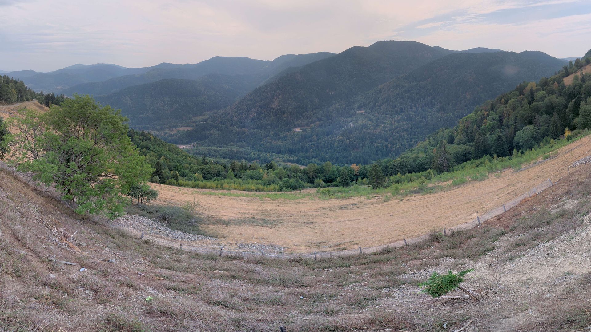 Urbès › Sud-est: Ferme-Auberge Gustiberg Urbès - Col de Bussang - Chambres en demi pension