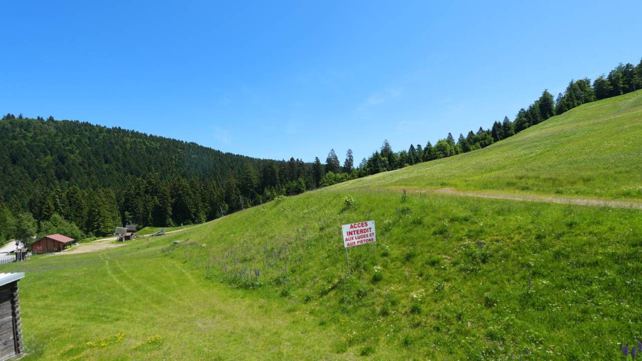 La Bresse › Est: Lispach Domaine Alpin