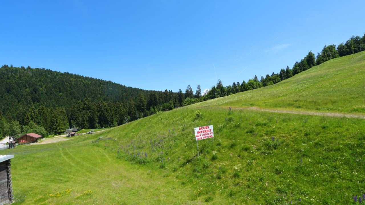 La Bresse › Est: Lispach Domaine Alpin