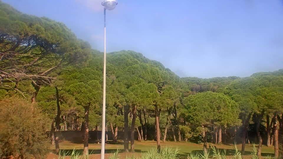 Mandelieu-la-Napoule