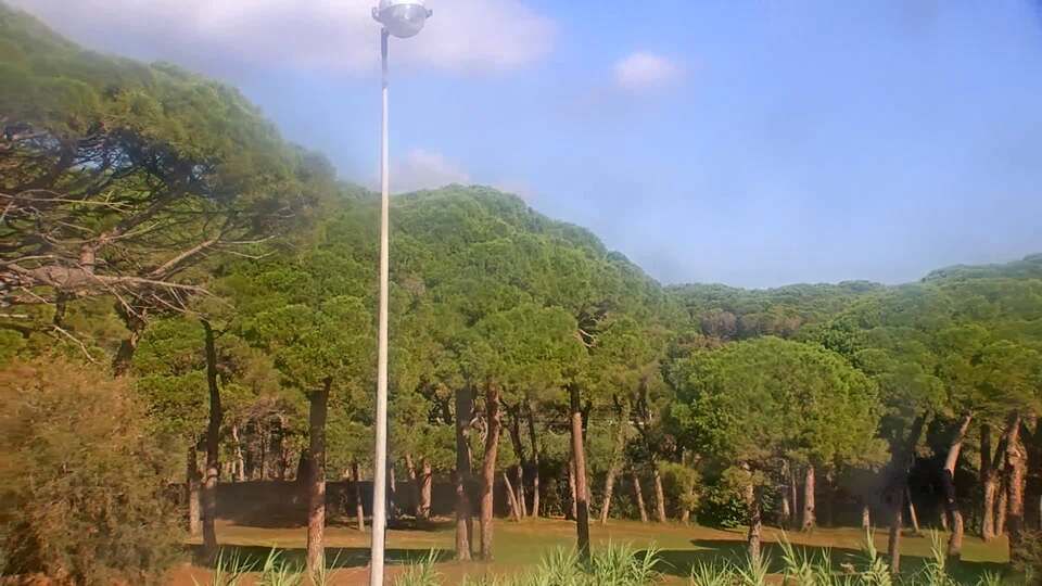 Mandelieu-la-Napoule