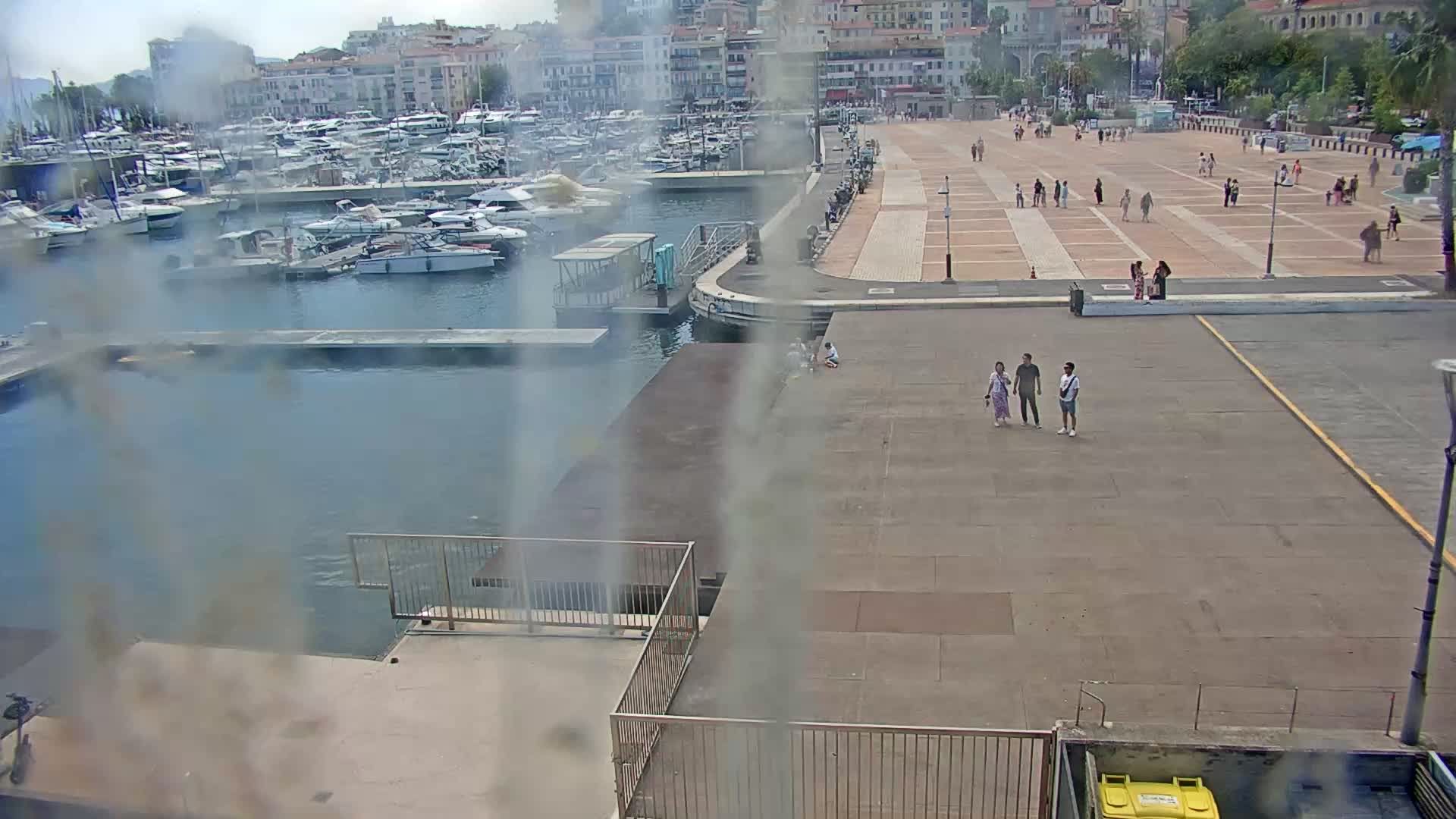 Cannes: FilmPantiero