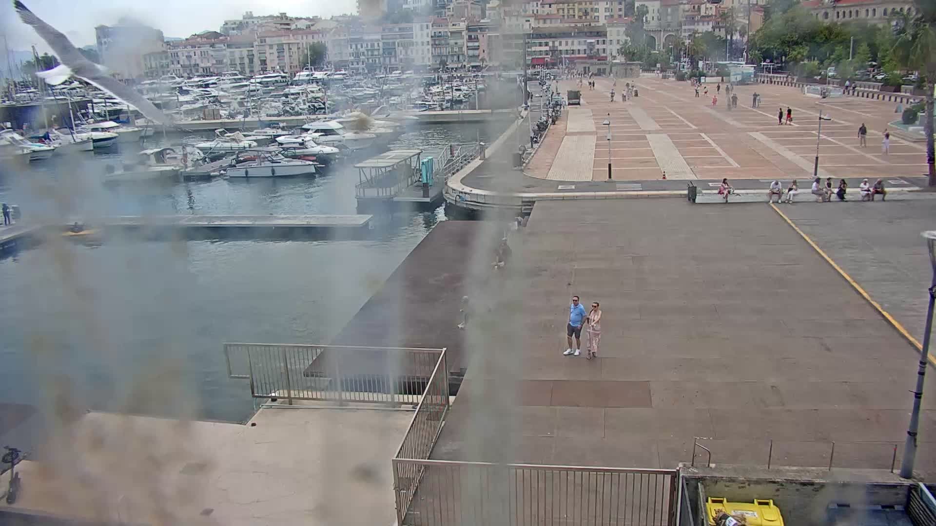 Cannes: FilmPantiero