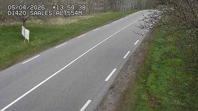 Saales › Est: Col de Saales