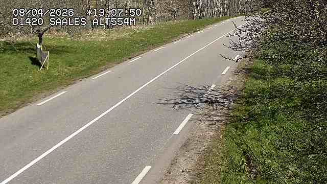 Saales › Est: Col de Saales