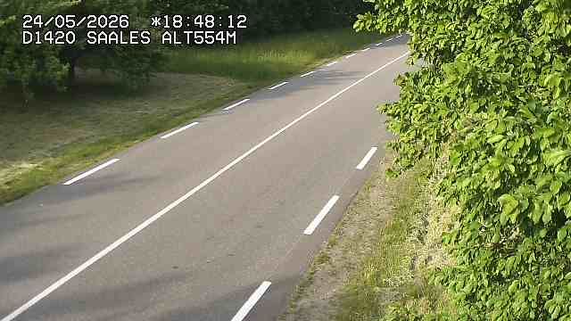 Saales › Est: Col de Saales