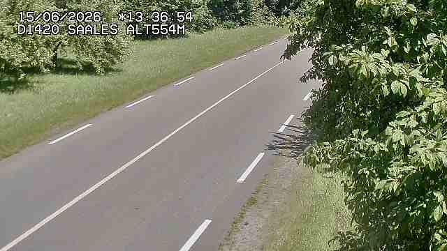 Saales › Est: Col de Saales