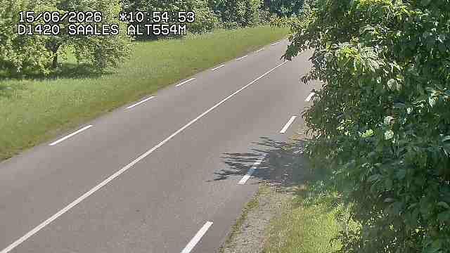 Saales › Est: Col de Saales