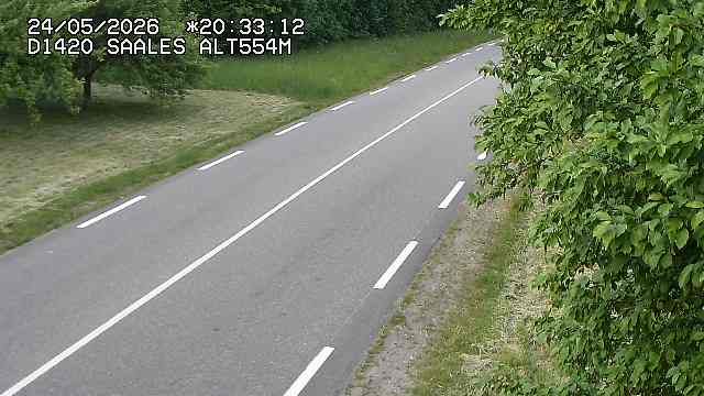 Saales › Est: Col de Saales