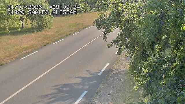 Saales › Est: Col de Saales