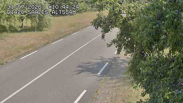 Saales › Est: Col de Saales
