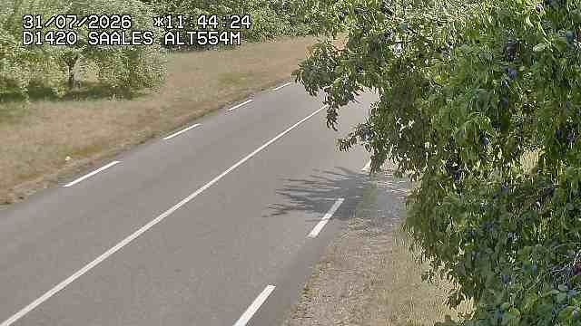 Saales › Est: Col de Saales
