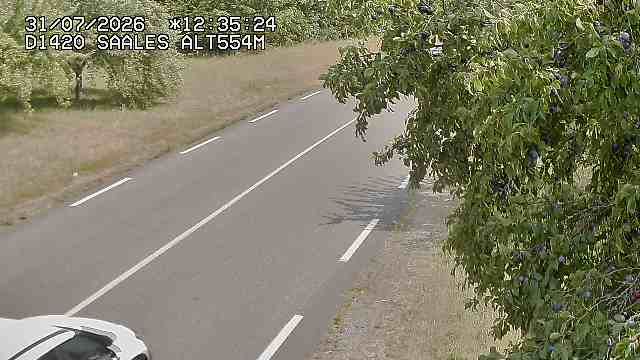 Saales › Est: Col de Saales