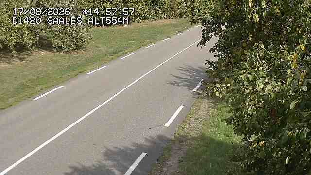 Saales › Est: Col de Saales