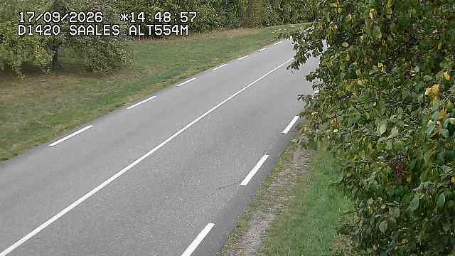 Saales › Est: Col de Saales