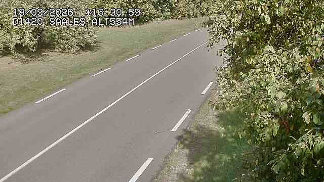Saales › Est: Col de Saales