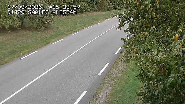 Saales › Est: Col de Saales